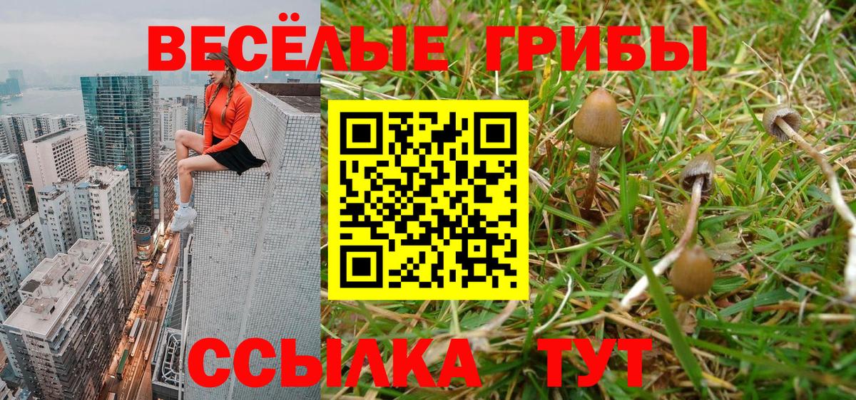 Новокубанск  Галлюциногенные грибы GOLDEN TEACHER  Галлюциногенные грибы Psilocybe  Вход с VPN 