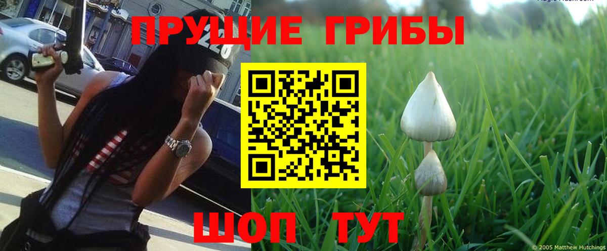 Псилоцибиновые грибы MAGIC MUSHROOMS Новокубанск